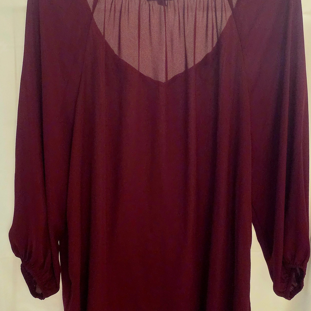 Sami & Jo Deep Red Sheer Blouse